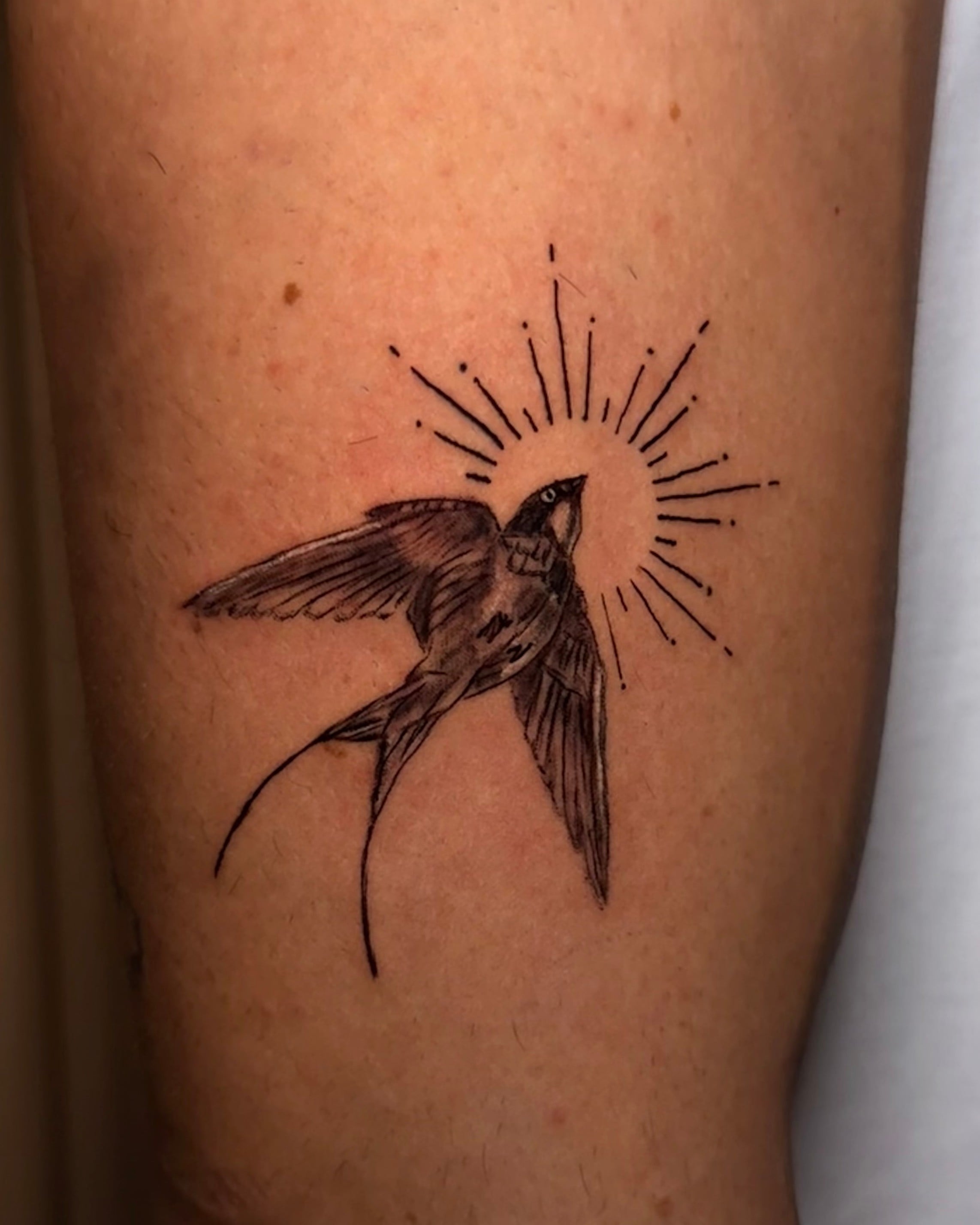 Tatuaje fine-line de golondrina con sol radiante, en el antebrazo.